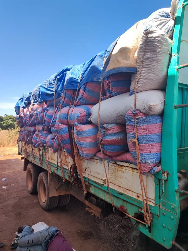 Prouesse à la douane : Les bérets noirs mettent la main sur plusieurs tonnes d’amandes de karité